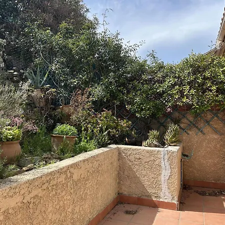 Maison Bord De A Avec Terrasse Et Garage - Fr-1-225c-164 * Banyuls-sur-Mer